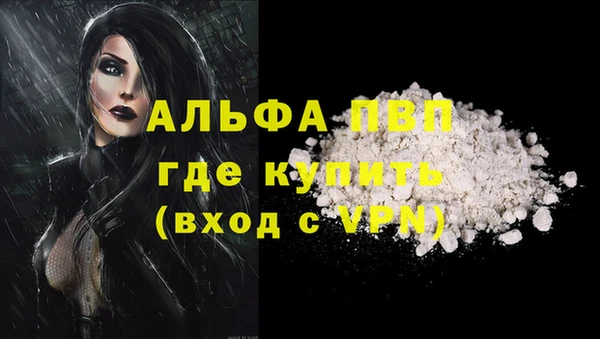 стаф Лабытнанги