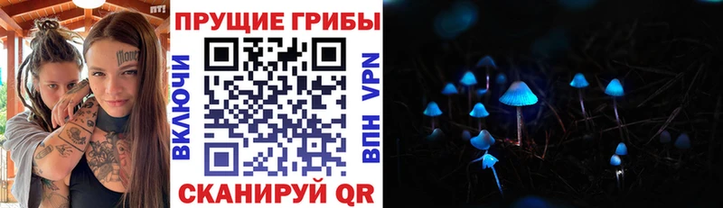 OMG ССЫЛКА  Усолье  Галлюциногенные грибы GOLDEN TEACHER 